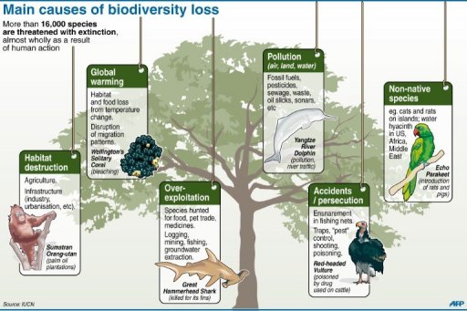 species biodiversity examples